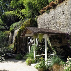 30ème Pétanque Verney