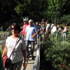 30ème Pétanque Verney