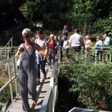 30ème Pétanque Verney