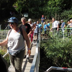 30ème Pétanque Verney