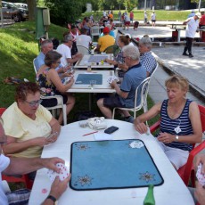 Boules et cartes 2019