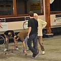 Nouvel-An de la Pétanque du Verney