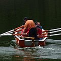 Concours de rames 2011